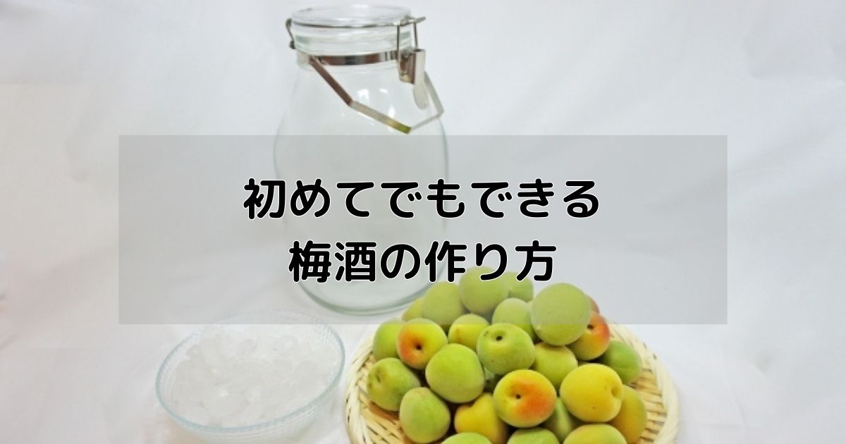 初めてでもできる梅酒の作り方